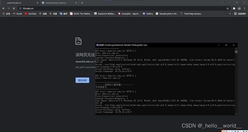 哈工大计算机网络实验一 HTTP代理服务器的设计与实现