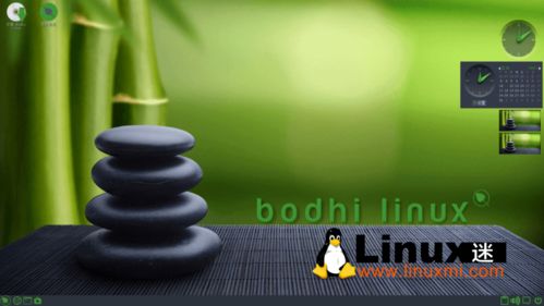 bodhi linux 6.0 全新发布 为旧电脑注入新生
