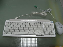 神舟新瑞L3900e一体电脑 简约设计与实用性能的融合典范